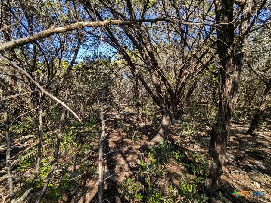 16023 & 16029 Brazos Drive, Temple, TX 76502 - Image #3