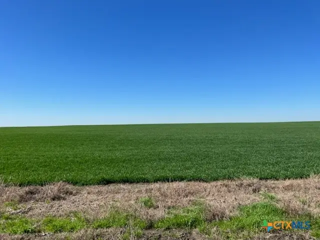 Tract 3 County Rd 355, Rosebud, TX 76519 - Image #1