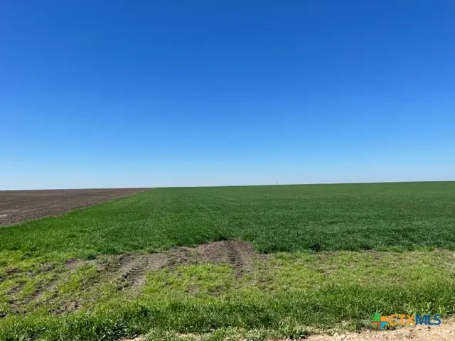 Tract 3 County Rd 355, Rosebud, TX 76519 - Image #3