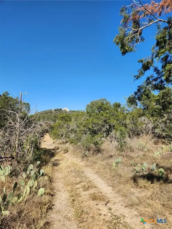 TBD Stellar Drive, Burnet, TX 78611 - #2