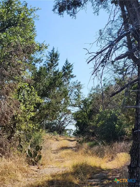 TBD Stellar Drive, Burnet, TX 78611 - #3