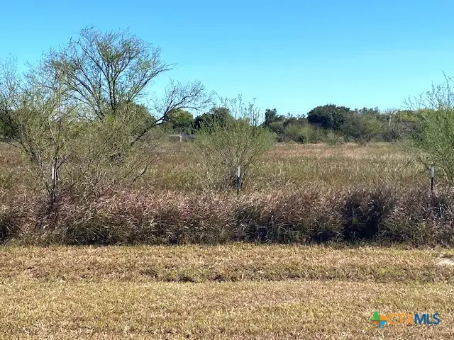 1401 Ball Airport Road #Tract C, Victoria, TX 77904 - Image #3