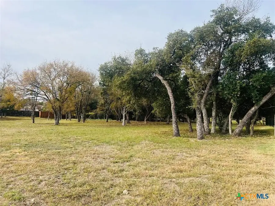 2009 Chalk Mill Crossing, Salado, TX 76571 - Image #2