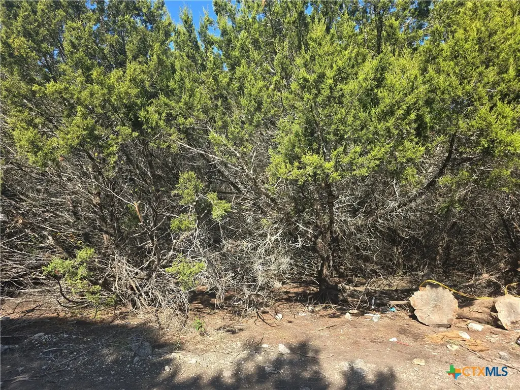 TBD Roanoak Drive, Waco, TX 76705 - Image #1