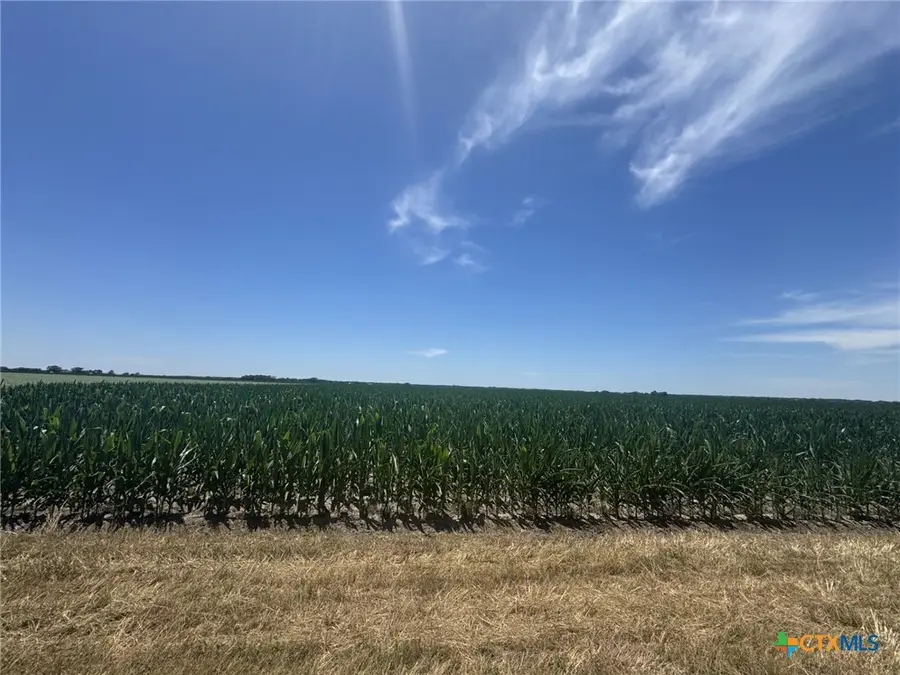 TBD Cr 335 Road, Louise, TX 77455 - Image #2