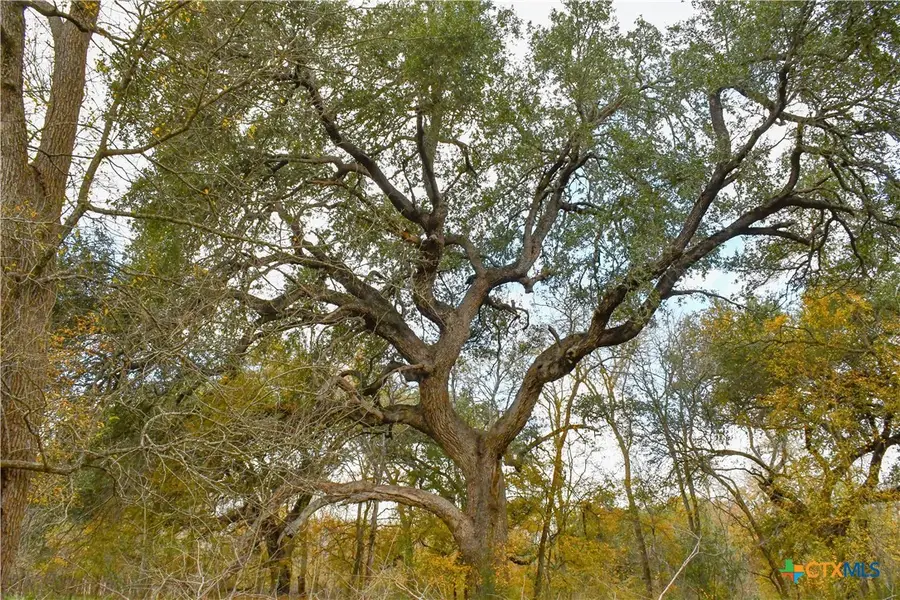 3237 Church Road, Seguin, TX 78155 - Image #3