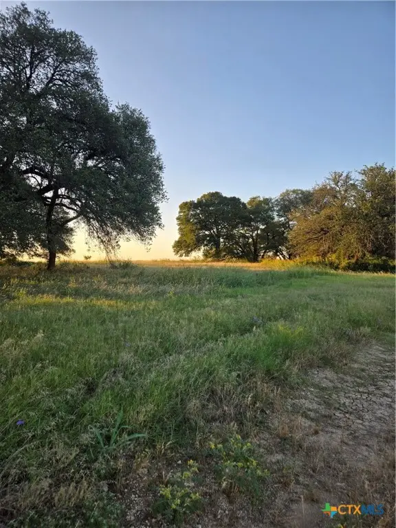 454 Grand Canyon Drive, Oglesby, TX 76561 - Image #1