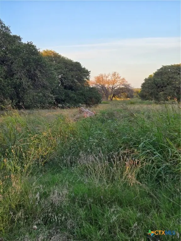 454 Grand Canyon Drive, Oglesby, TX 76561 - Image #2