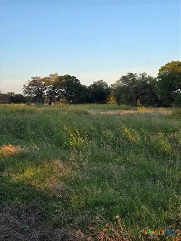 454 Grand Canyon Drive, Oglesby, TX 76561 - Image #3