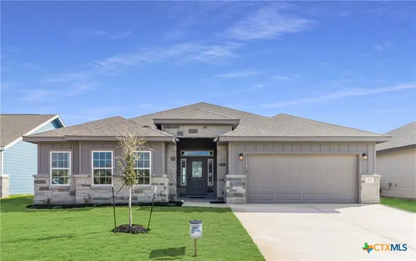 117 Lost Pines Lane, Marion, TX 78124