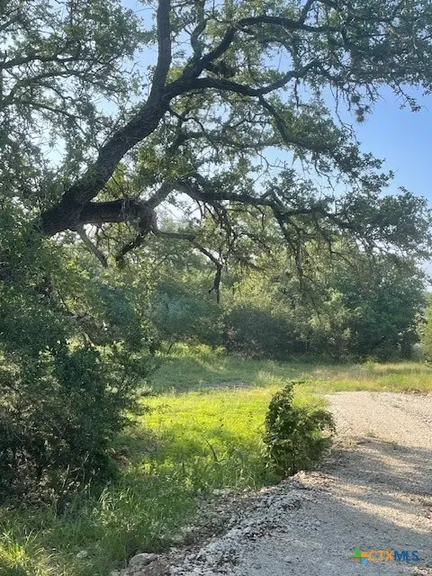 1449 Lavaca, Canyon Lake, TX 78133 - Image #3