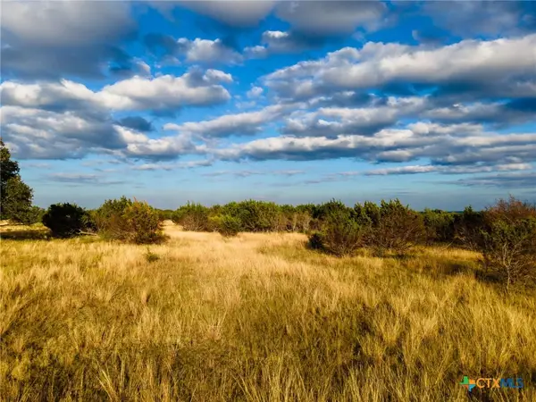 LOT 155 Heartleaf Dr, Lampasas, TX 76550