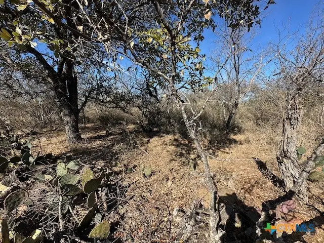 0 TBD Cedar Drive, Granite Shoals, TX 78654 - Image #2