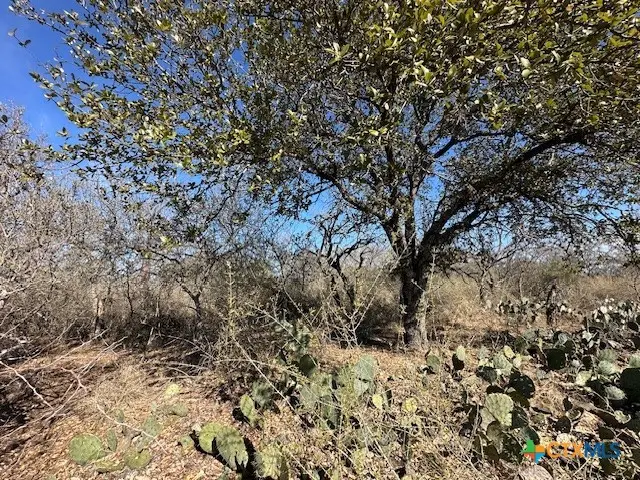 0 TBD Cedar Drive, Granite Shoals, TX 78654 - Image #3