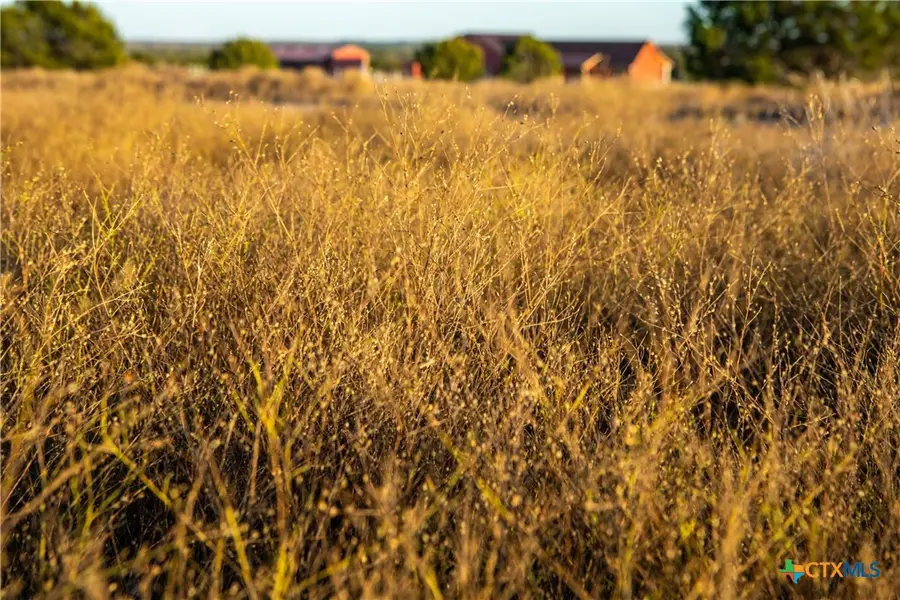 000 Winecup Dr, Lampasas, TX 76550 - Image #3