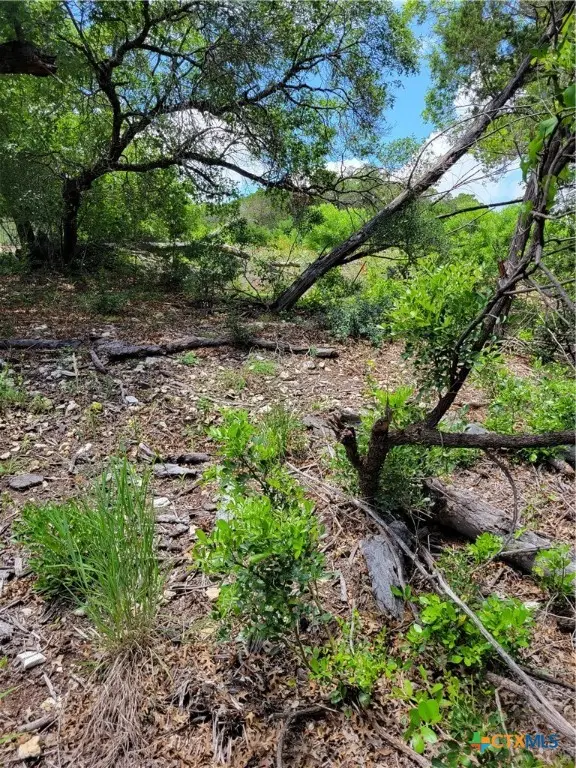 Lot 315 Private Road 1745, Mico, TX 78056