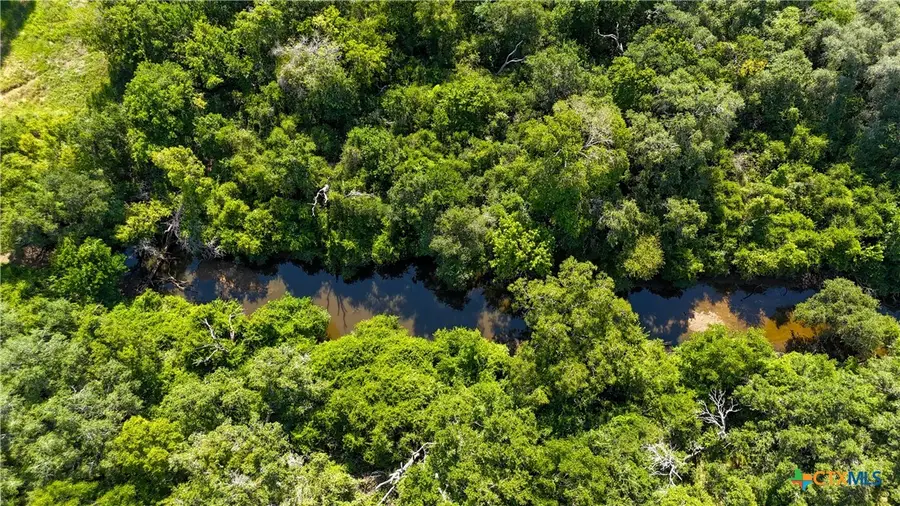 985 Dewberry Lane, Harwood, TX 78632 - Image #3