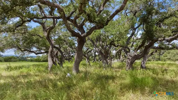 Lot 1 Legacy Hills Drive, Johnson City, TX 78636