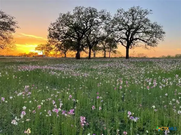 460 Woelke Road, Seguin, TX 78155