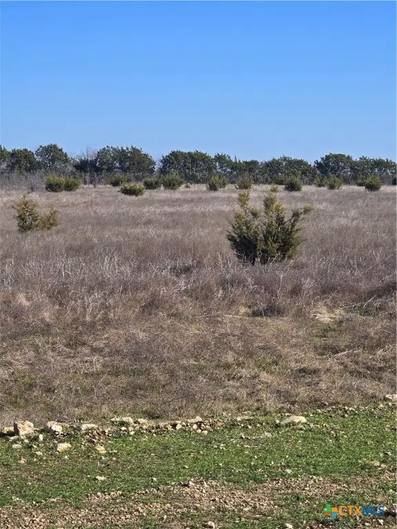 413 Grand Canyon Drive, Oglesby, TX 76561 - Image #3