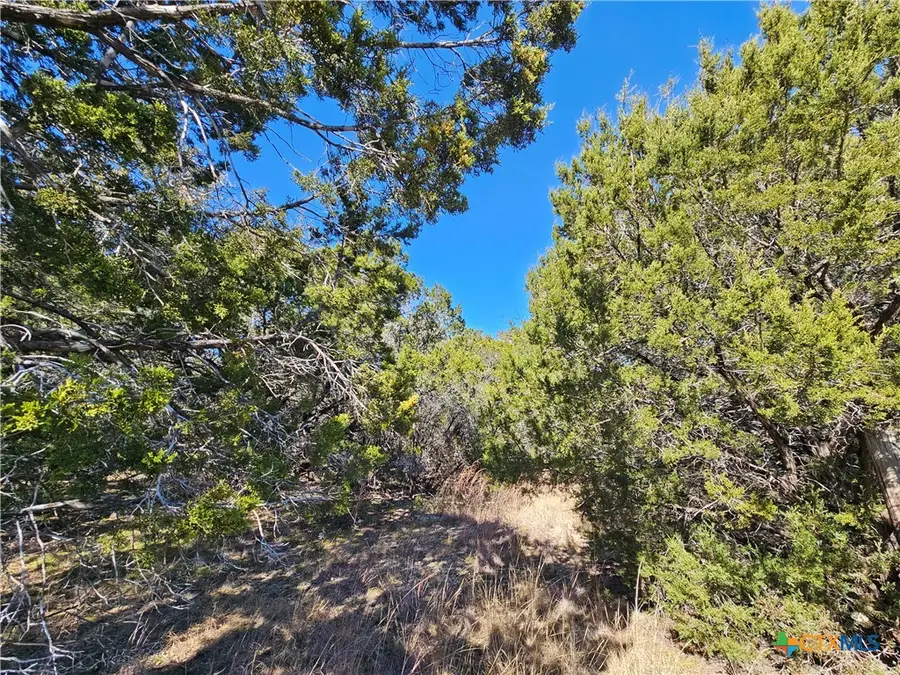 TBD County Road 3831, Evant, TX 76525 - Image #3