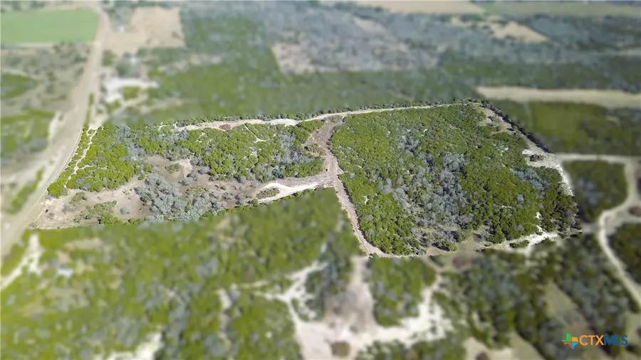 Tract 1 Fm 2955, Gatesville, TX 76528 - Image #3