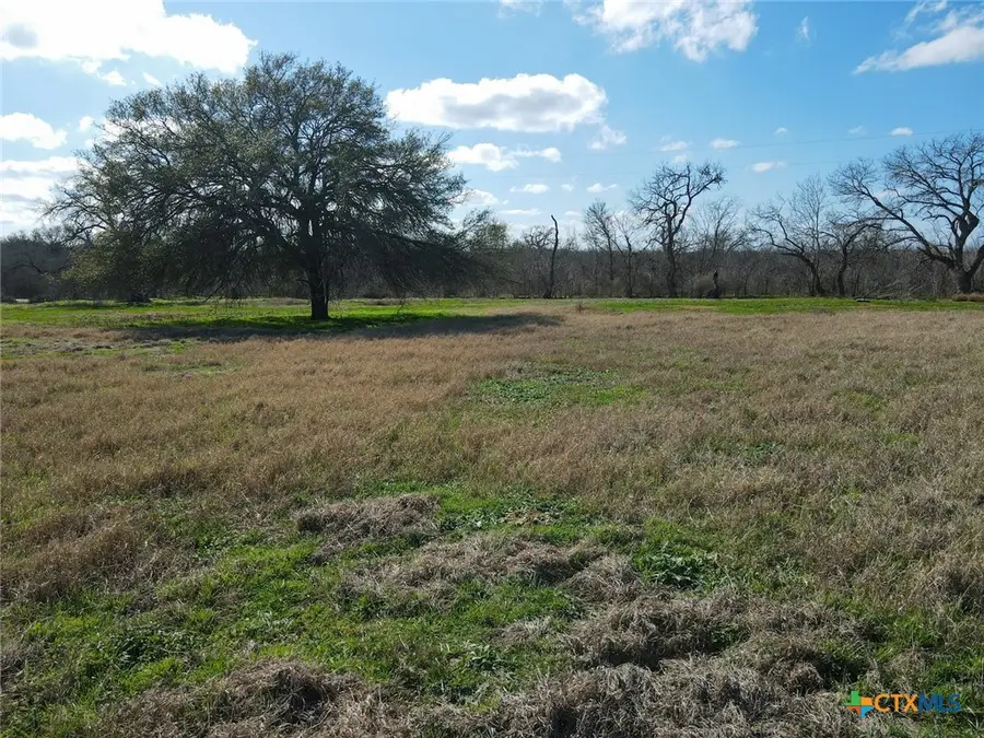 5411 Tenney Creek Road, Luling, TX 78648 - Image #2
