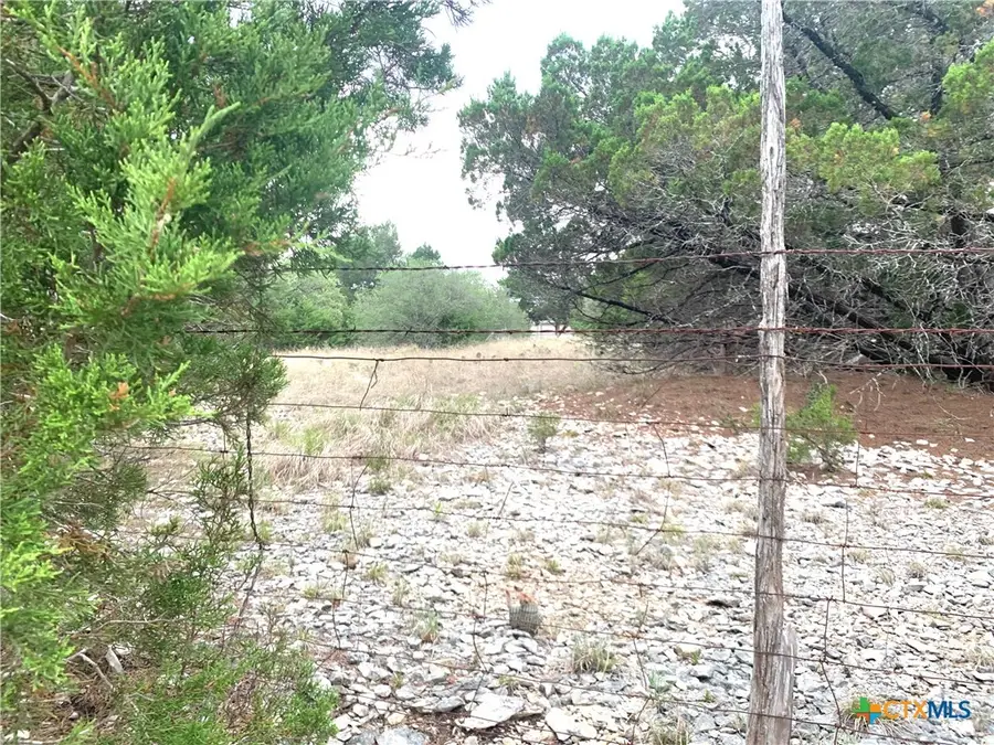 0 Firefly Road, Florence, TX 76527 - Image #3