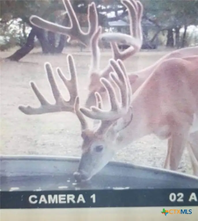 400 Indian Hills Road, Gatesville, TX 76528 - Image #2