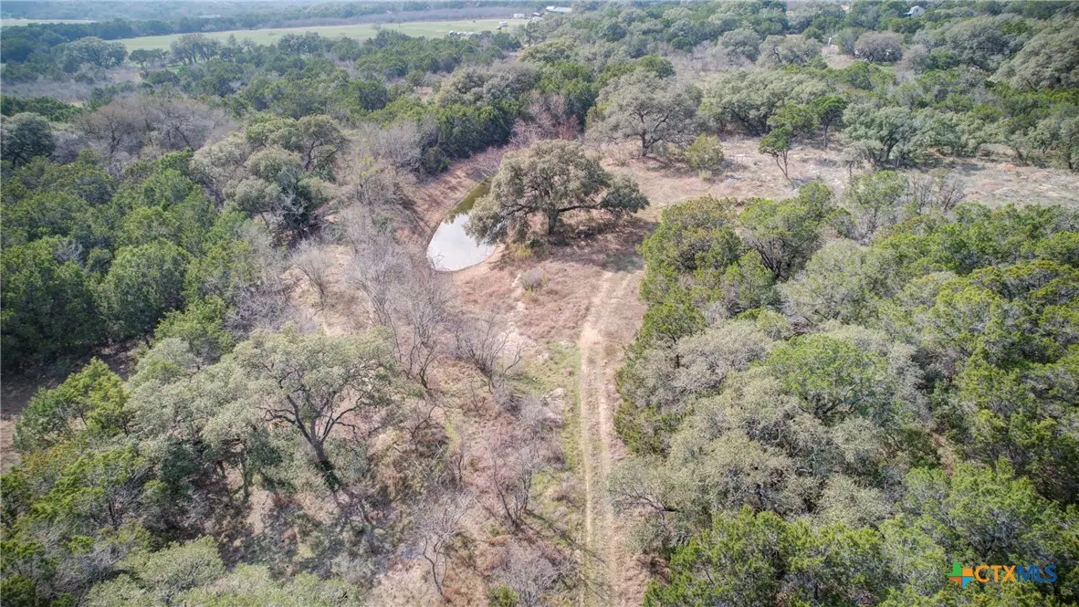 1463 Whispering Woods Trail, New Braunfels, TX 78132 - #1