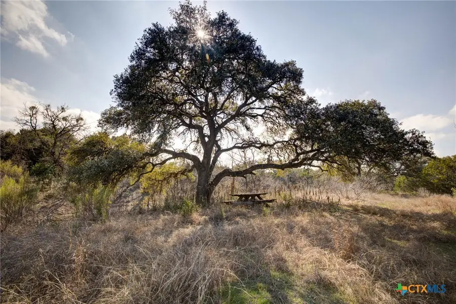 1463 Whispering Woods Trail, New Braunfels, TX 78132 - #2