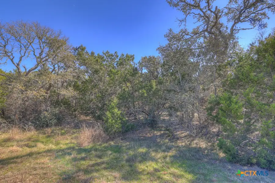 578 Falconwood Drive, San Marcos, TX 78666 - Image #2