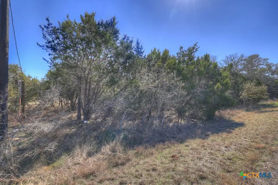 578 Falconwood Drive, San Marcos, TX 78666 - Image #3