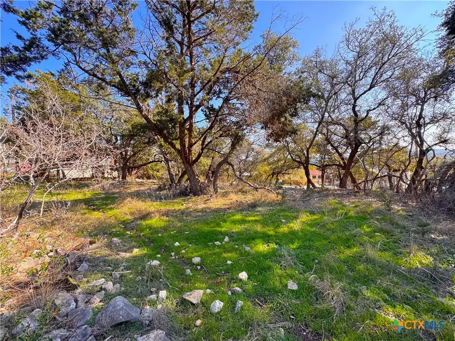 0 TBD Westview Drive, Canyon Lake, TX 78133 - Image #3