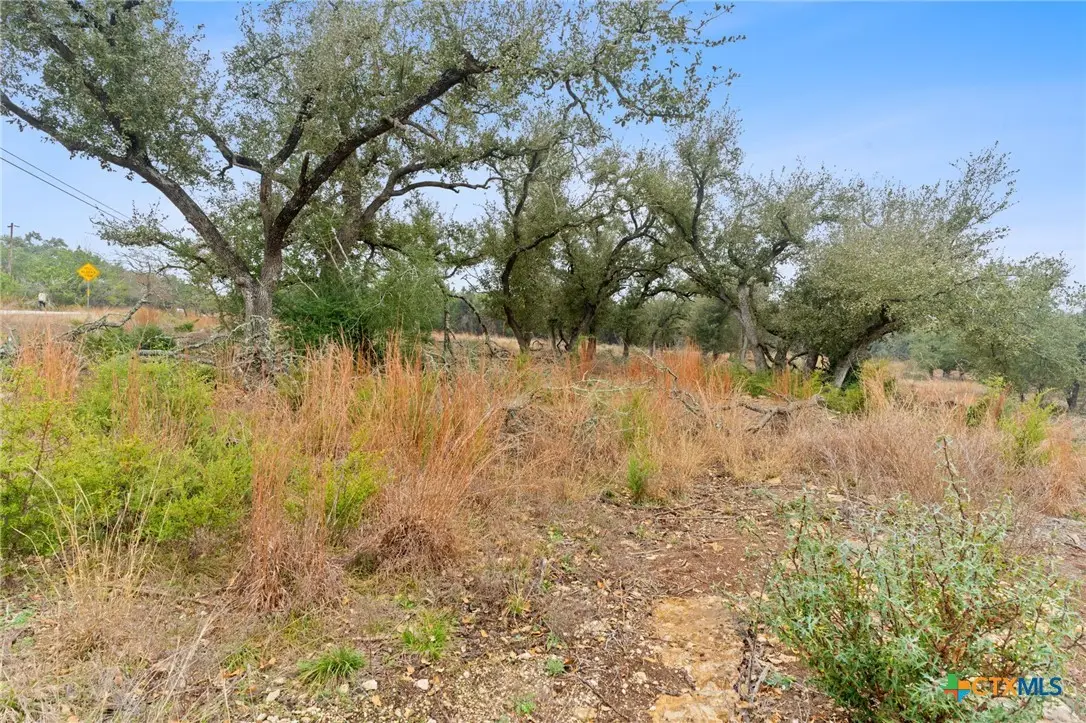 301 Lonesome Trail, Driftwood, TX 78619 - #1