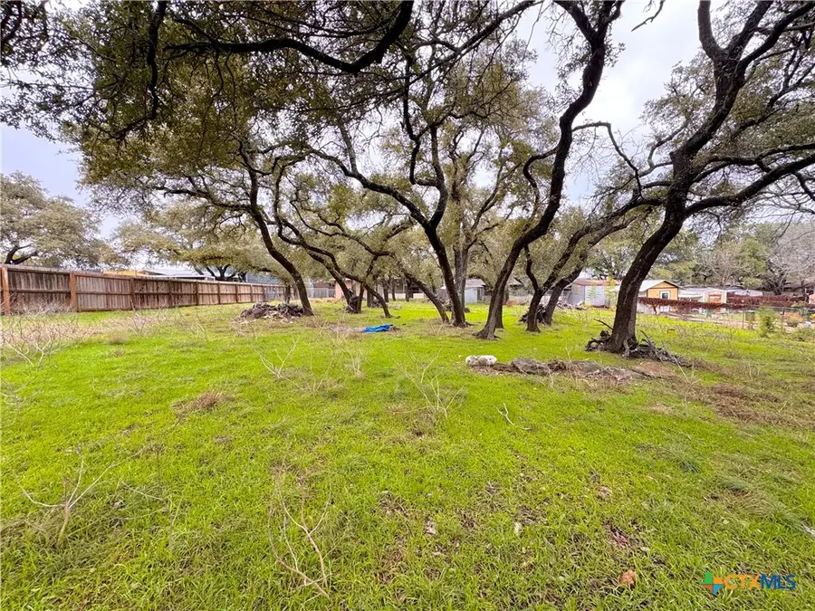 TBD Irene Drive, Canyon Lake, TX 78133 - Image #3