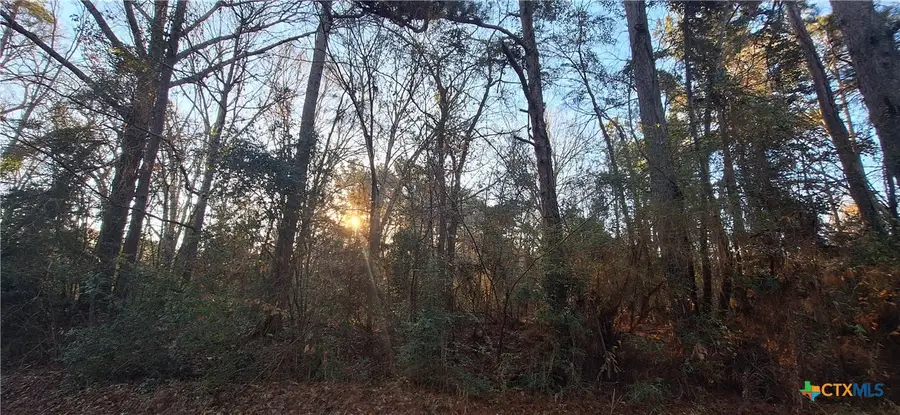 TBD County Road 1655, Grapeland, TX 75844 - #2