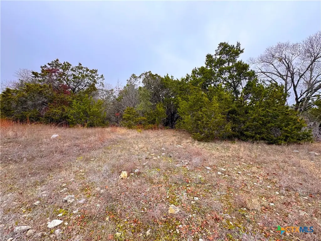 0 Atlantis Avenue, Spring Branch, TX 78070 - Image #1