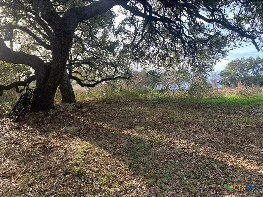 2675 Country Ledge Drive, New Braunfels, TX 78132 - Image #2