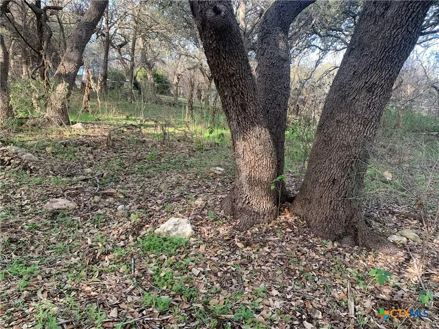 2675 Country Ledge Drive, New Braunfels, TX 78132 - Image #3