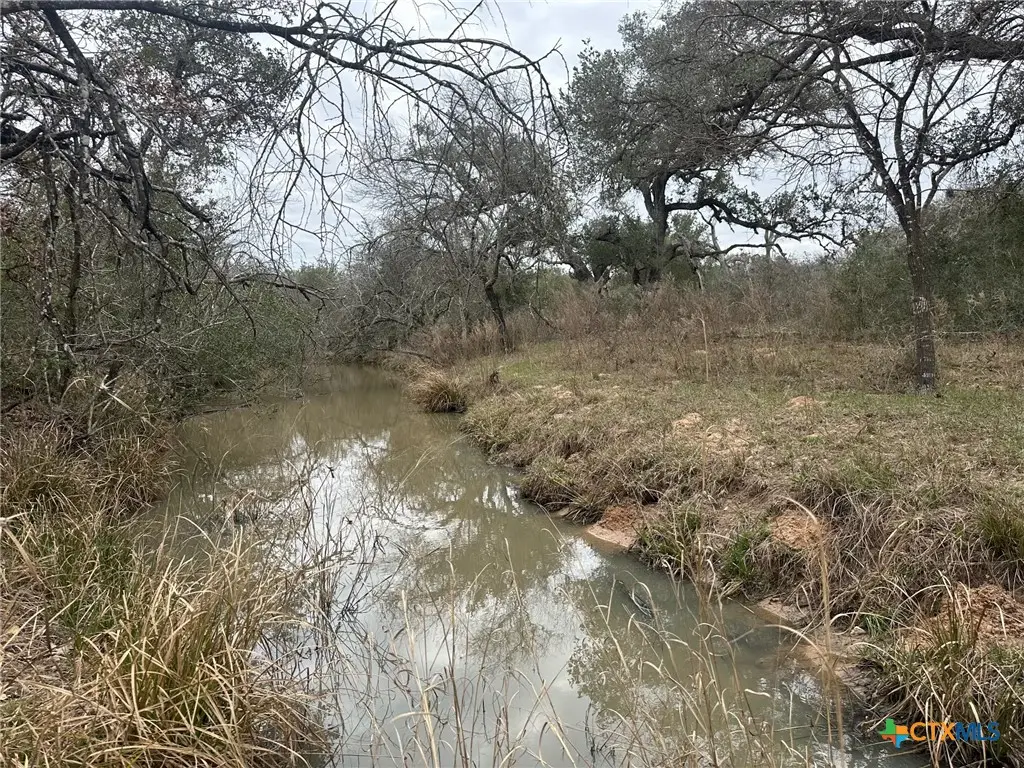 7 Dentler Tract 7 Road, Meyersville, TX 77974 - Image #1