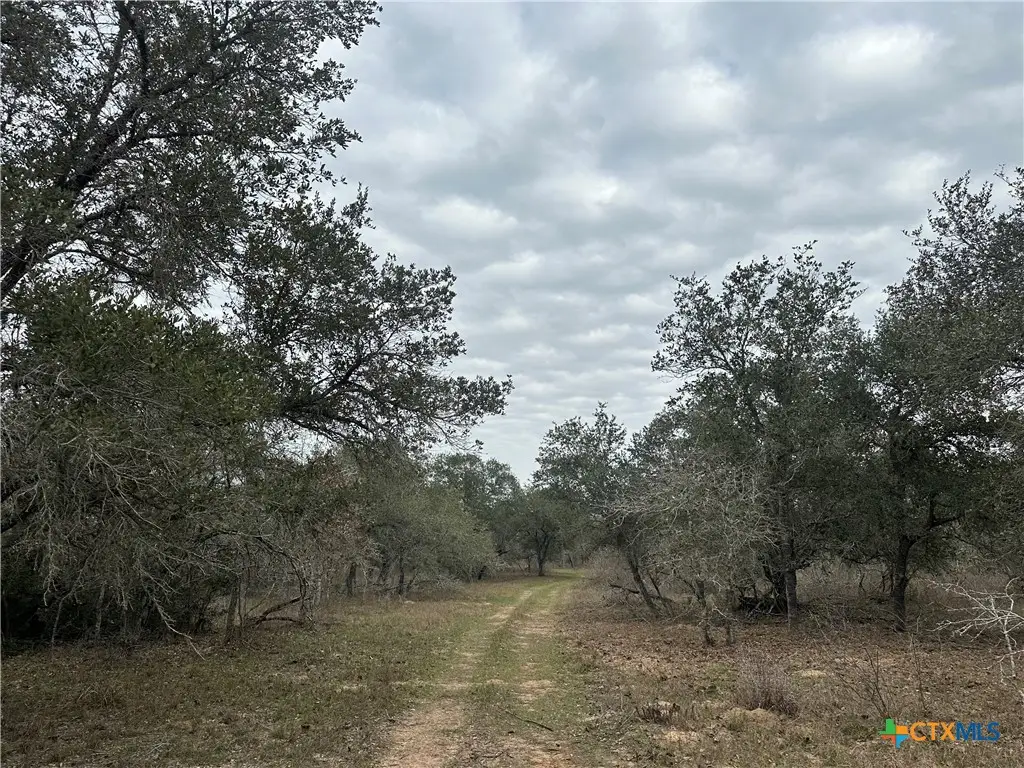 3 Dentler Tract 3 Road, Meyersville, TX 77974 - Image #1