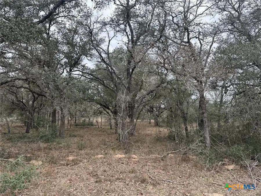 3 Dentler Tract 3 Road, Meyersville, TX 77974 - Image #3
