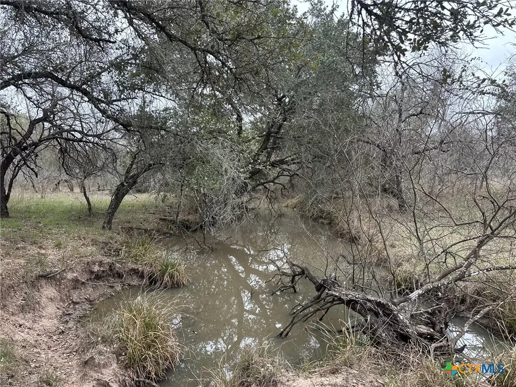 6 Dentler Tract 6 Road, Meyersville, TX 77974 - Image #1
