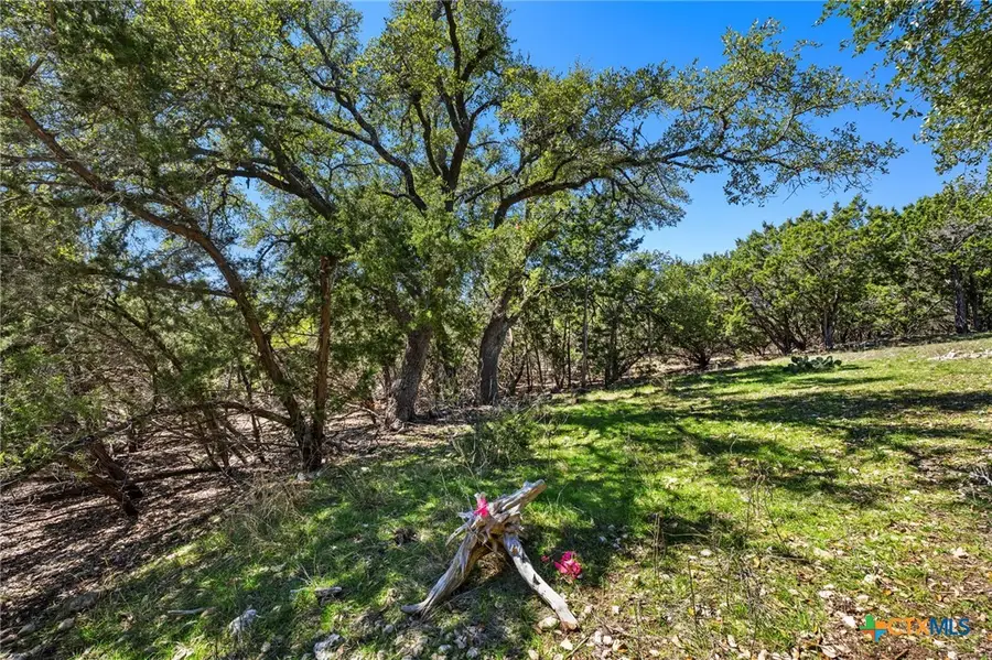 541 Herauf Drive, Canyon Lake, TX 78133 - #3