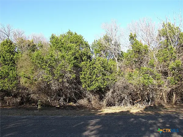 10784 Highview Drive, Belton, TX 76513