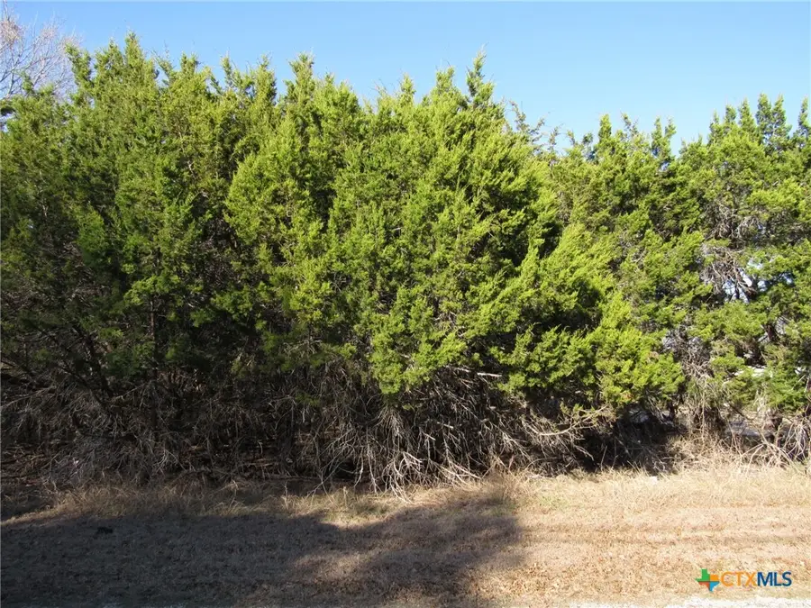 10784 Highview Drive, Belton, TX 76513 - Image #3