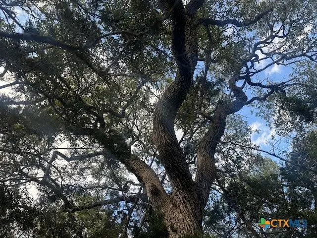 247 Longwood Drive, New Braunfels, TX 78132 - Image #1