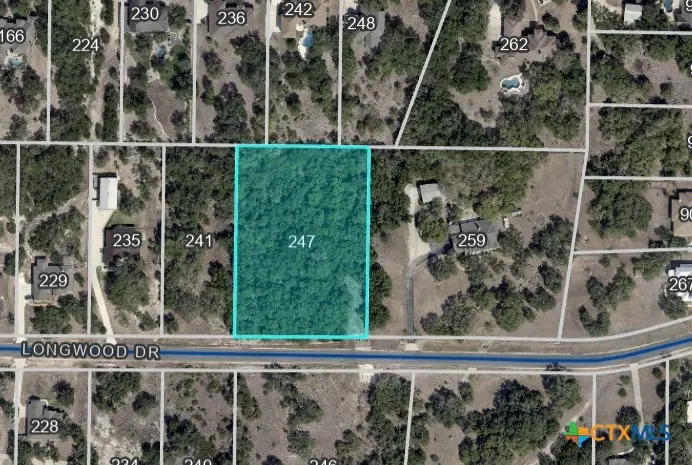 247 Longwood Drive, New Braunfels, TX 78132 - Image #2