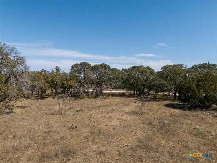 TBD Lot 237 Heartleaf Drive, Lampasas, TX 76550 - Image #3